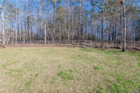 12175 Mcmath Trl, Mc Calla, AL 35111 photo 24