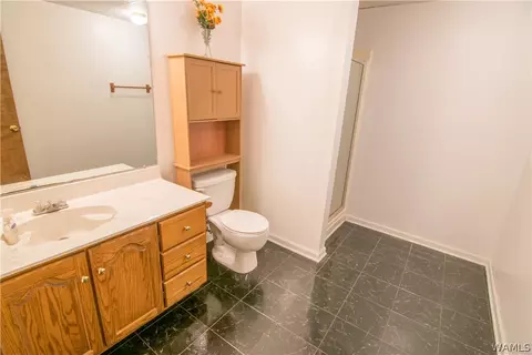 12175 Mcmath Trl, Mc Calla, AL 35111 photo 21