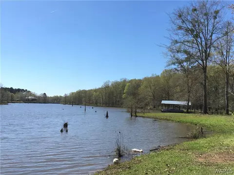 725 Teal Ln, Eutaw, AL 35462 photo 19