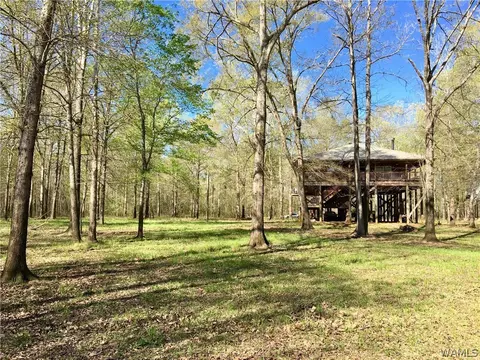 725 Teal Ln, Eutaw, AL 35462 photo 2