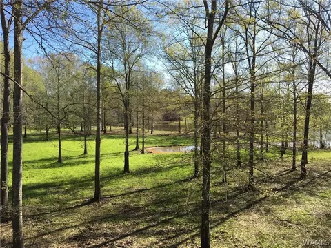 725 Teal Ln, Eutaw, AL 35462 photo 12