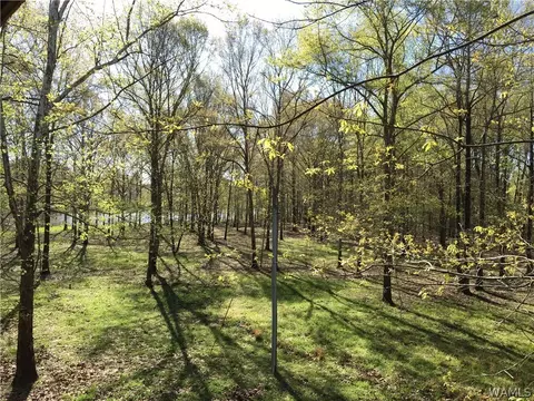 725 Teal Ln, Eutaw, AL 35462 photo 11