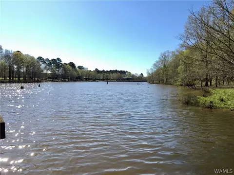 725 Teal Ln, Eutaw, AL 35462 photo 20
