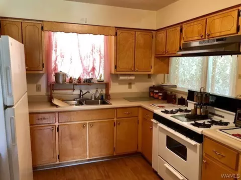 1925 Laura St, Demopolis, AL 36732 photo 10