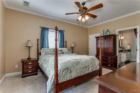16399 Chase Cir, Ralph, AL 35480 photo 15