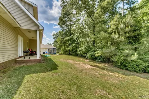 16399 Chase Cir, Ralph, AL 35480 photo 23