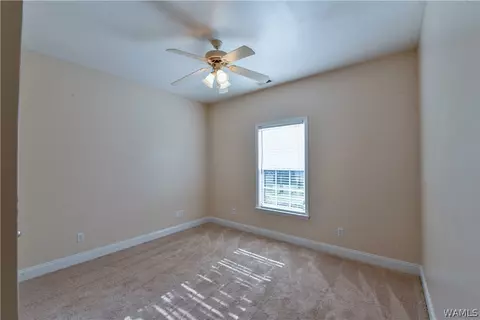 13788 Ginger Dr, Mc Calla, AL 35111 photo 22