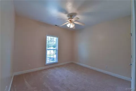13788 Ginger Dr, Mc Calla, AL 35111 photo 21
