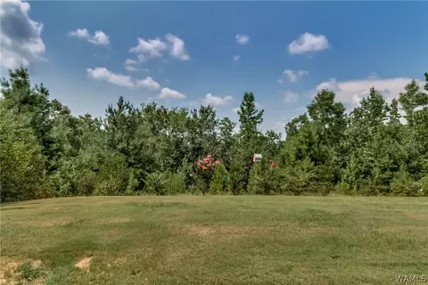 12393 Timber Heights Rd, Ralph, AL 35480 photo 4