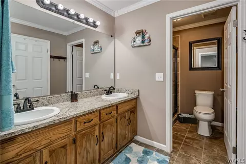 9232 Wire Rd, Cottondale, AL 35453 photo 16