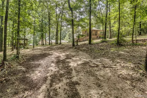 9232 Wire Rd, Cottondale, AL 35453 photo 33