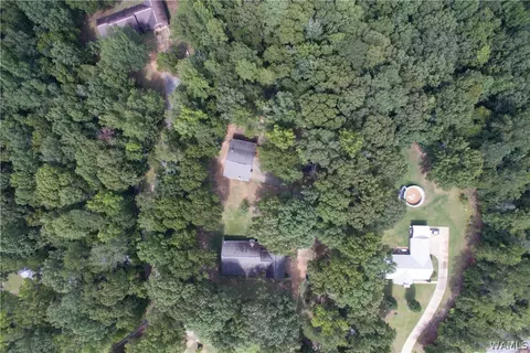 9232 Wire Rd, Cottondale, AL 35453 photo 38