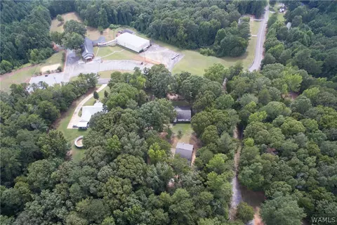 9232 Wire Rd, Cottondale, AL 35453 photo 36