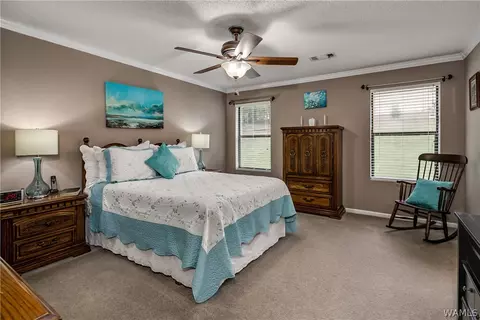 9232 Wire Rd, Cottondale, AL 35453 photo 15