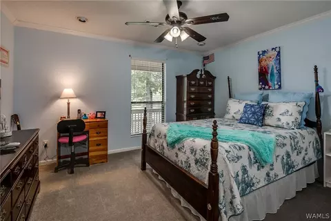 9232 Wire Rd, Cottondale, AL 35453 photo 18