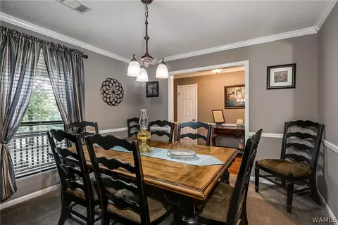9232 Wire Rd, Cottondale, AL 35453 photo 5
