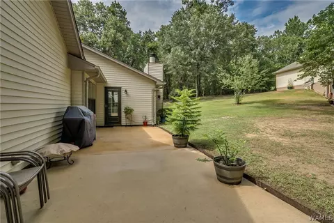 9232 Wire Rd, Cottondale, AL 35453 photo 29