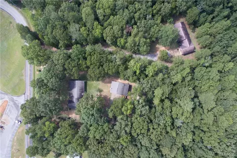 9232 Wire Rd, Cottondale, AL 35453 photo 39