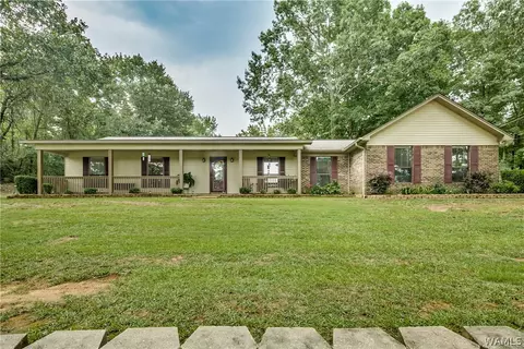 9232 Wire Rd, Cottondale, AL 35453 photo 40