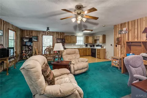 9232 Wire Rd, Cottondale, AL 35453 photo 21