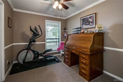 9232 Wire Rd, Cottondale, AL 35453 photo 19