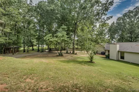 9232 Wire Rd, Cottondale, AL 35453 photo 31