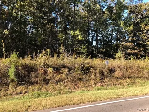 0 Daffron Rd #1, Duncanville, AL 35456