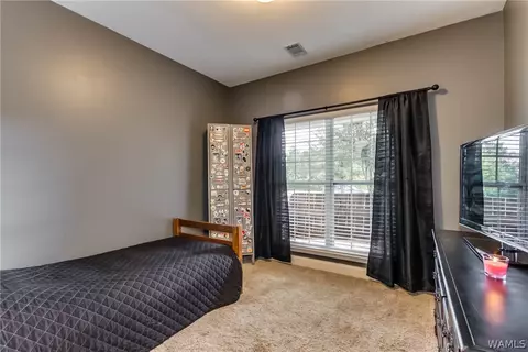 11657 Box Elder Way, Vance, AL 35490 photo 17