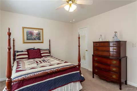 13299 Michael Dr, Mc Calla, AL 35111 photo 26