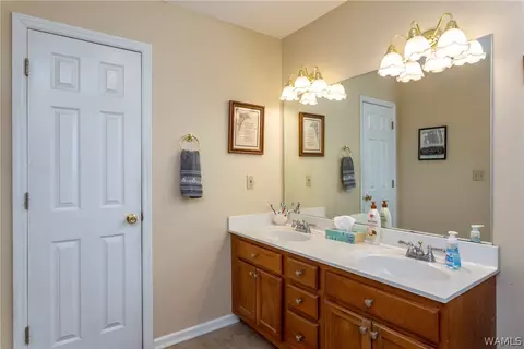 13299 Michael Dr, Mc Calla, AL 35111 photo 22