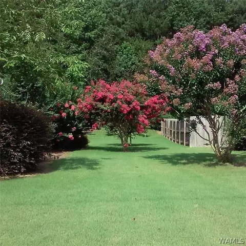 18348 Peyton Ln, Vance, AL 35490 photo 17