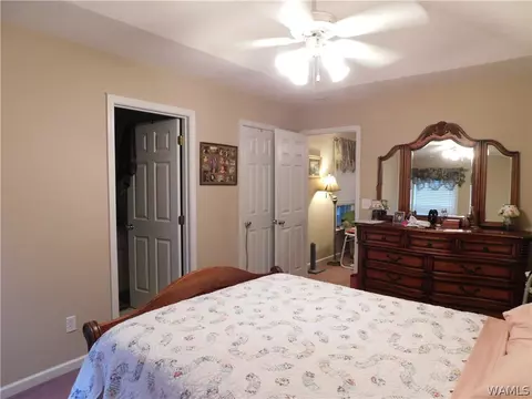 18348 Peyton Ln, Vance, AL 35490 photo 9