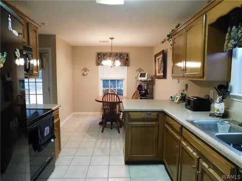 18348 Peyton Ln, Vance, AL 35490 photo 7