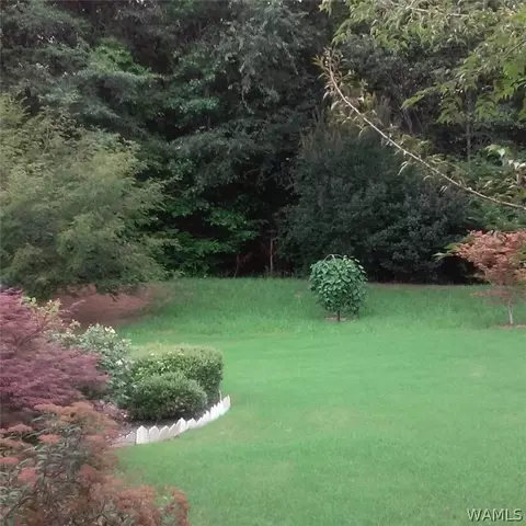 18348 Peyton Ln, Vance, AL 35490 photo 15