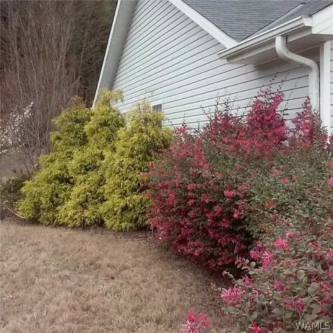 18348 Peyton Ln, Vance, AL 35490 photo 22