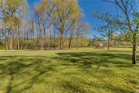 2354 Flag Rd, Eutaw, AL 35462 photo 33