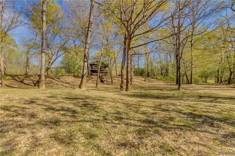 2354 Flag Rd, Eutaw, AL 35462 photo 30