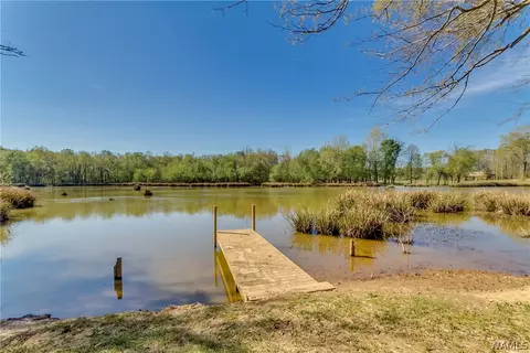 2354 Flag Rd, Eutaw, AL 35462 photo 28