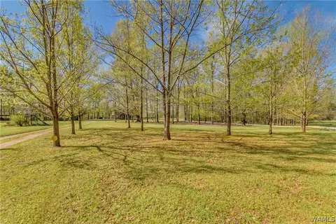 2354 Flag Rd, Eutaw, AL 35462 photo 39