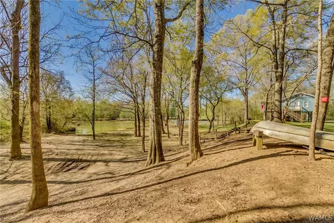 2354 Flag Rd, Eutaw, AL 35462 photo 32