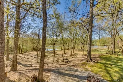 2354 Flag Rd, Eutaw, AL 35462 photo 26