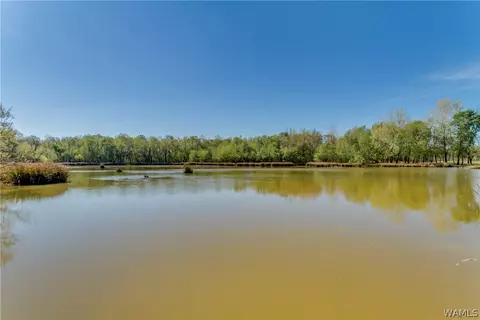 2354 Flag Rd, Eutaw, AL 35462 photo 29