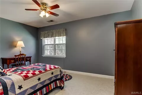 12220 Mcmath Trl, Mc Calla, AL 35111 photo 28