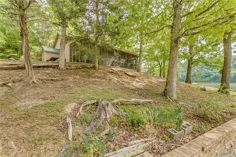 13420 Howse Camp Rd, Tuscaloosa, AL 35406 photo 2