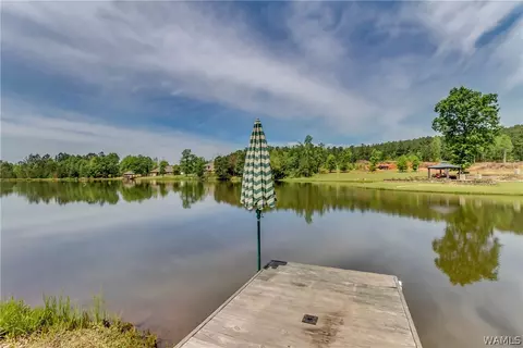 10633 Austin Loop, Vance, AL 35490 photo 33