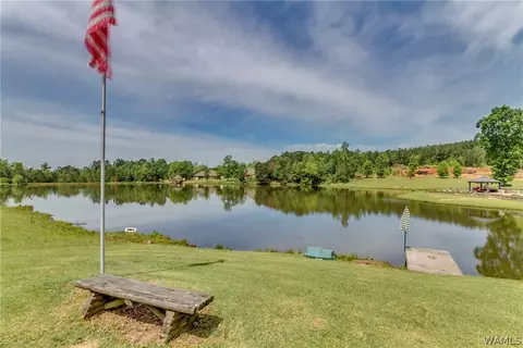 10633 Austin Loop, Vance, AL 35490 photo 32