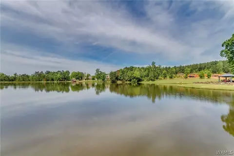 10633 Austin Loop, Vance, AL 35490 photo 34