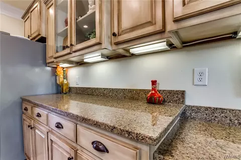 10633 Austin Loop, Vance, AL 35490 photo 15