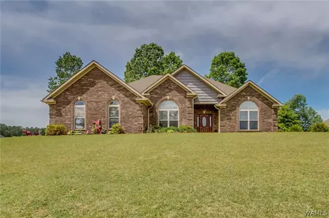 10633 Austin Loop, Vance, AL 35490 photo 1