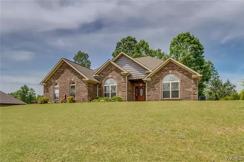 10633 Austin Loop, Vance, AL 35490 photo 2